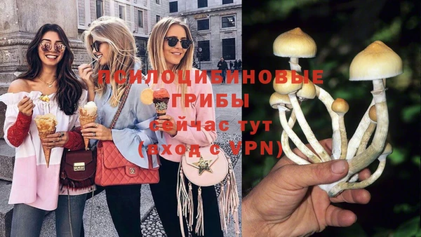 стаф Ростов