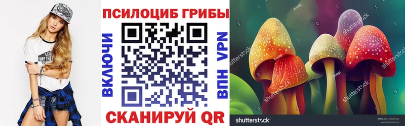 Галлюциногенные грибы Psilocybine cubensis  как найти закладки  Куртамыш 